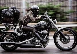 Addictedtoharleydavidson In 2020 Harley Davidson Harley Motorcycle Expo