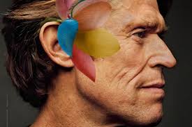 Noticias de Cultura: Última hora de hoy en THE OBJECTIVE