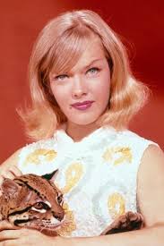 Honey West: Season 1