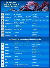 Reef Chart Reef Tank Aquascaping Reef Aquarium Saltwater Aquarium Setup