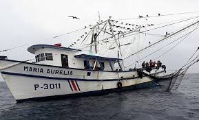 Resultado de imagen para Pesca de Arrastre Costa Rica