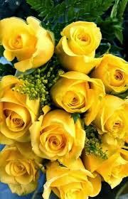 I can't stop thinking about you. 55 Flowers For My Wife She Loves Them Ideas Flowers Peonies Beautiful Flowers