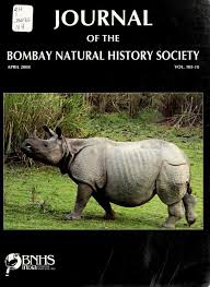 Image result for Enteropogon monostachyos