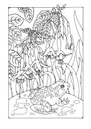 Coloring Page Fuchsia With Frog Img 27769 Mermaid Coloring Pages Frog Coloring Pages Coloring Pages