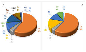 Image result for Lasiodiscus mannii