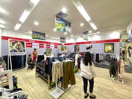 Image result for Sutera levis