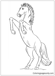 Topic, subject area, number of pages, spacing, urgency, academic level, number of sources, style, and preferred language style. Bucking Mustang Horses Coloring Pages Horse Coloring Pages Coloring Pages For Kids And Adults