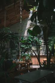 How Coffee Is Grown Travels To West Java Indonesia In 2020 West Java Bandung City Korea Wallpaper