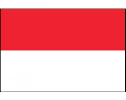 Countryflags.com offers a large collection of images of the indonesian flag. Flag Of Indonesia Indonesia Flag Flags Of The World Indonesian Flag