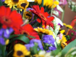 We did not find results for: Philly Flower Show 2021 What You Need To Know Philadelphia Pa Patch