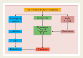 Image result for Antiarrhythmic