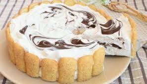 Gateau Glace Au Nutella Et Boudoirs Ma Patisserie Recette Gateau Sans Cuisson Gateau Au Nutella Nutella