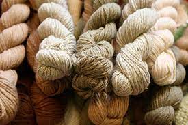 Be inspired to never miss an opportunity to celebrate every day. Different Shades Of Cotton Trusted Clothes
