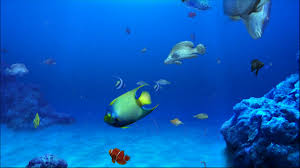 3d art 3d water world nice pics gallery. Aqui Podras Descargar Fondos De Pantalla Romanticos Con Movimiento Wallpaper Gratis 5 En Hd