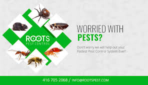 Contractors who have their logo show that they follow the high standards set by the association. Pest Control Specialists Roots Pest Control Pests Pest Control Pest Control Services