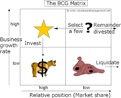 Image result for PORTFOLIO MODEL STRATEGIC MANAGEMENT