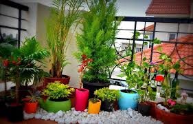 Learn how to grow a garden in the smallest of spaces! Set Up A Balcony Garden In Your Apartment