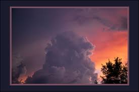 Sometimes all you have to do to see the beauty of this world is walk  outside and open your eyes. These were taken