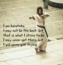 We did not find results for: Pin By Jonna Weaver On Martial Arts Stuff Karate Martial Arts Shotokan Karate Kyokushin Karate