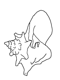 Check spelling or type a new query. Simple Seashell Drawing Shefalitayal