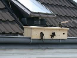 Fagelsang Eller Musik Vad Tror Ni De Spelar Modern Design In 2020 Bird Houses Diy Bird Houses Modern Birdhouses