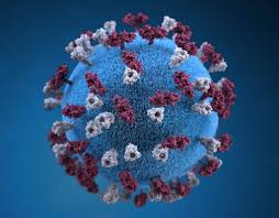 More news for regeneron » Regeneron Trial Finds Covid 19 Therapy Improved Symptoms