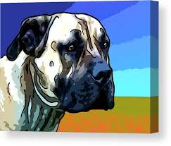 The boerboel is a big, strong and intelligent working dog. South African Boerboel 3 Canvas Print Canvas Art By Alexey Bazhan
