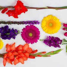 Dalton's flowers is family owned and operated, we have been proudly serving overland park and the kansas city metropolitan area since 1941. Kansas City Florist Flower Delivery By Westport Floral Designs