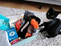 Soft, plush material makes it snuggly enough for catnaps too. Gus Bella Cat Lover Subscription Box Feline Spooky Halloween Special Simply Emma