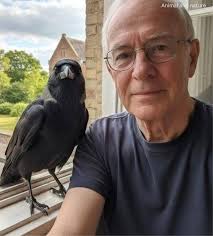Is there a meaning when a crow lands at the window stares us down?