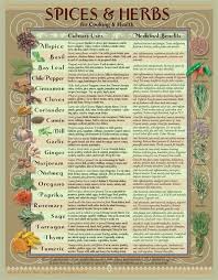 Herbs Table Chart Pdf Healing Herbs Herbs Spice Chart