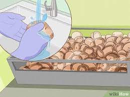 Can you stop potatoes from sprouting? How To Stop Potatoes From Sprouting In Storage 9 Steps