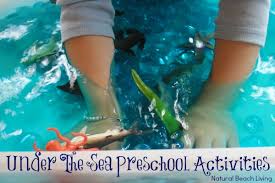Shells are also perfect for a sensory bin. The Best Under The Sea Preschool Activities Natural Beach Living