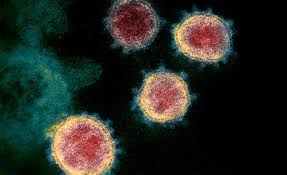 How to prepare and protect yourself. Where Did The Coronavirus Come From Past Outbreaks Provide Hints