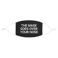 Since i could read, i always had my nose in a book. here are some proverbs and quotes about the nose. The Mask Goes Over Your Nose Sarcastic Funny Quote Face Mask For Adults Reusable Ebay