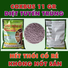 Coxbus 11GR