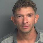 MEJIA FLORES, ALAN URIEL