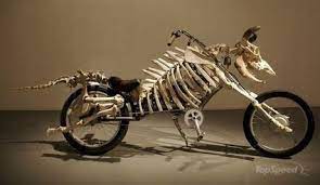 Pin By Carlos Ibagon On Scooters Rides Funny Motorcycle Custom Bikes Chopper Motorcycle