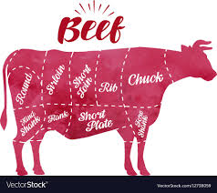 diagram cutting cow meat butcher shop bull beef