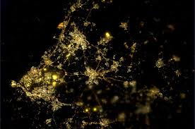 Andre Kuipers The Netherlands At Night Nederland Ruimte Foto S