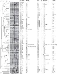The latest tweets from spa (@spa8_). Evaluating The Usefulness Of Spa Typing In Comparison With Pulsed Field Gel Electrophoresis For Epidemiological Typing Of Methicillin Resistant Staphylococcus Aureus In A Low Prevalence Region In Sweden 2000 2004 Clinical Microbiology And Infection