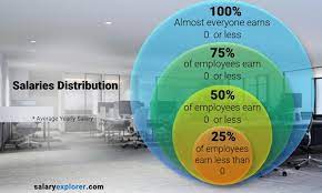 Cleaner Average Salary In Norway 2021 The Complete Guide