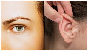 عملية تجميل الأنف إنقاص الوزن الجراحة التجميلية طب العيون علاج العقم و أطفال الأنابيب زراعة الشعر طب الأسنان التجميلي أو العلاجي التجميل من غير جراحة طب العظام طب القلب أذن. Ø¥ÙŠØ±Ø§Ù† ØªØ¬Ù„Ø¯ Ø£ØµØ­Ø§Ø¨ Ø¹ÙŠÙ† Ø§Ù„Ù‚Ø·Ø© Ùˆ Ø£Ø°Ù† Ø§Ù„Ø­Ù…Ø§Ø± Ø§Ù„Ø­Ø±Ø©