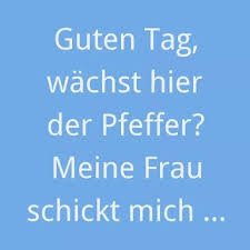 Pin Von Quark Nase Auf Spruche Witzige Spruche Lustige Spruche Spruche