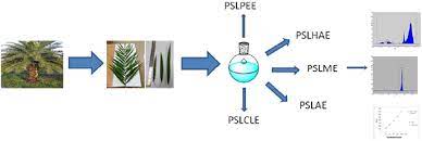 Managing your supply chain takes significant time & resources. High Performance Thin Layer Chromatographic Investigation Of Rutin In The Leaves Of Phoenix Sylvestris In Sequence With Pharmacognostical And Phytochemical Evaluation Springerlink