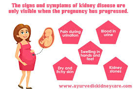 Pin On Blogs Ayurvedic Kidney Care