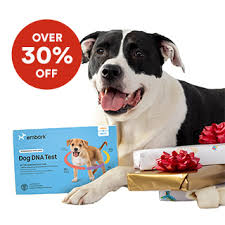Sign up for autoship save 5%. Dog Supplier Near Me Cheap Buy Online