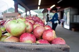 The barton family celebrates 30years providing seasonal pyo apples, peaches, plums, nectarines, blueberries, sweet corn, pumpkins and full garden crop. Take Your Pick Where To Get Fresh Hudson Valley Apples Hudson Valley One