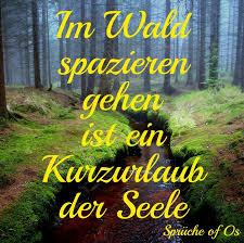 Sprüche Of Os Seelenmomente Facebook
