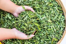 Check spelling or type a new query. Top 5 Best Stevia For Coffee Of 2021 Tasting Stevia Reviews